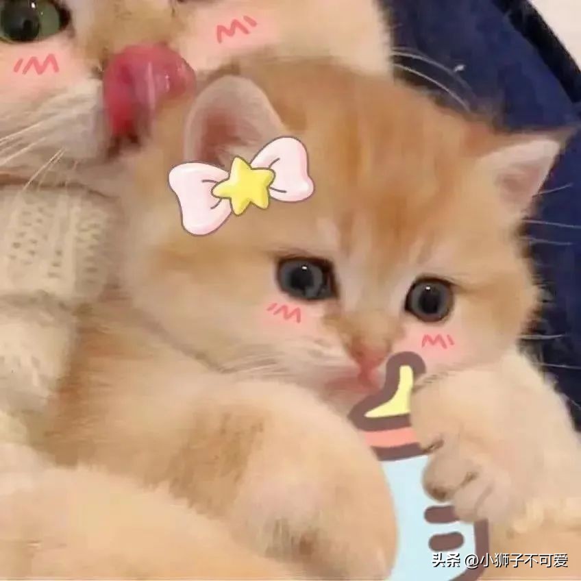 情侣动漫头像文案,微信情侣头像一男一女动漫情侣