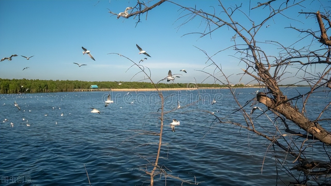 十二首诗词中的“读书乐”，乐时光、乐学识、乐同学、还有乐爱情