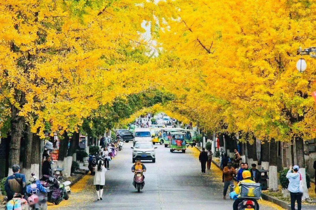 淡季大理堪称人间理想,大理的旺季真实体验