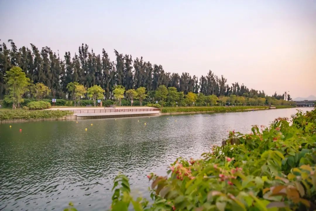 深圳端午节哪里可以赛龙舟,深圳端午节龙舟赛具体地点时间表