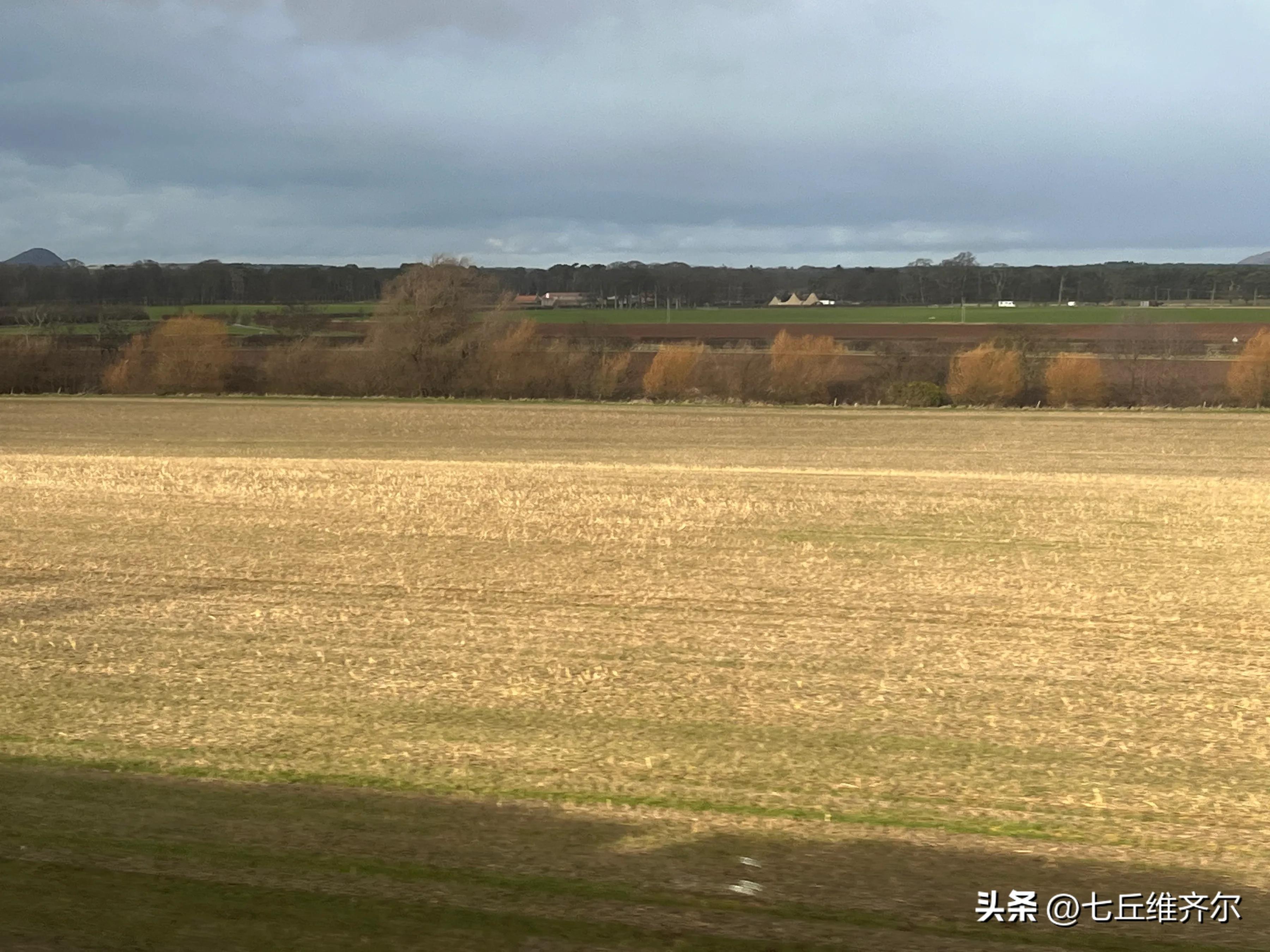 水肥草美牛羊壮上联,牛羊满圈的上联下联