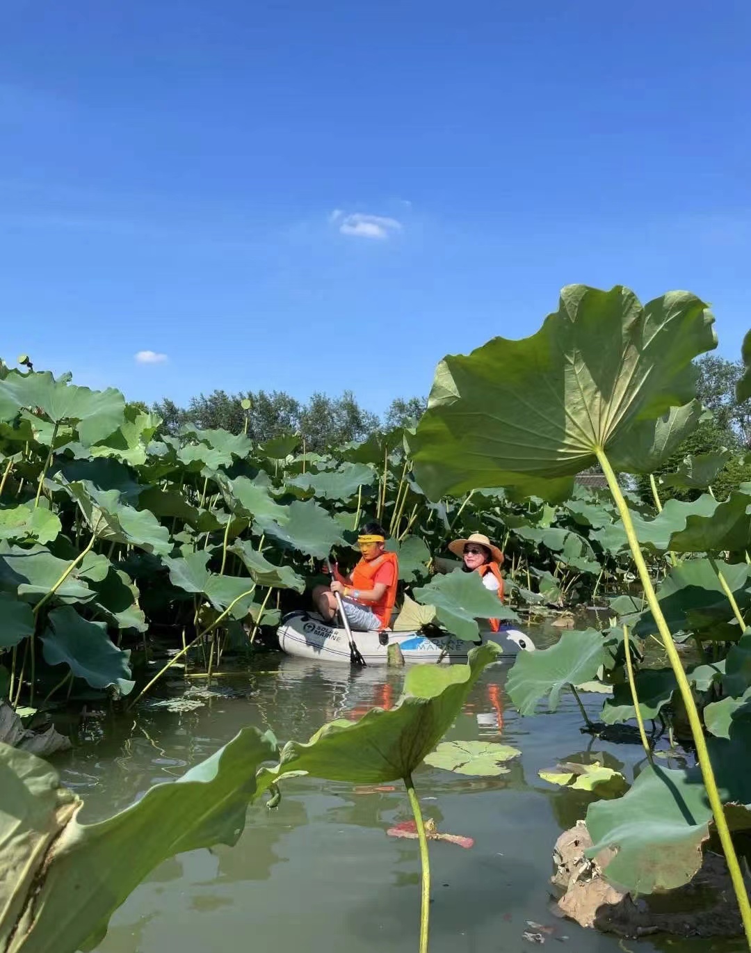 终于去了“中国本土版ClubMed”,乌村也太好玩了吧