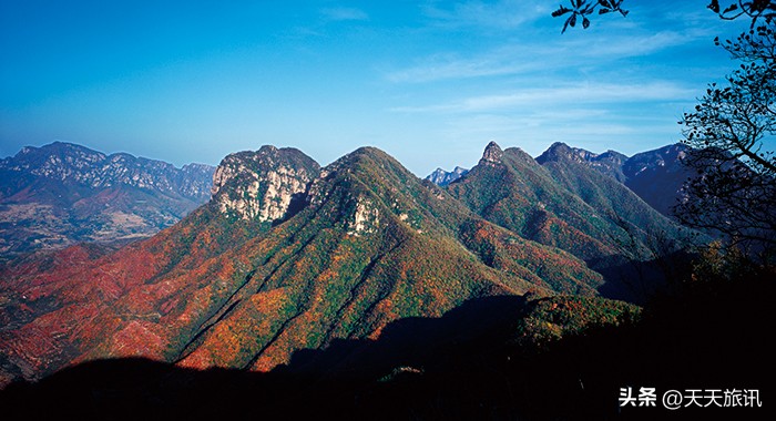河南景点森林氧吧,河南五地入选中国天然氧吧