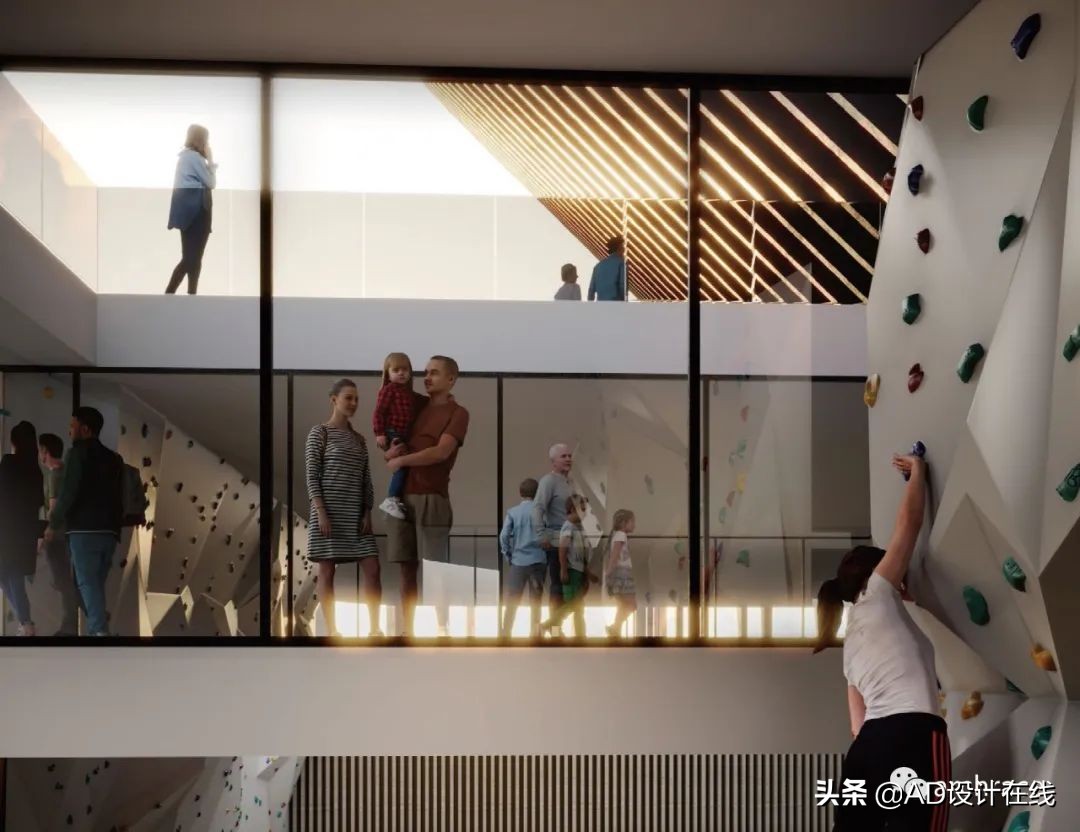 弗兰基球场改建,佛罗伦萨弗兰基球场