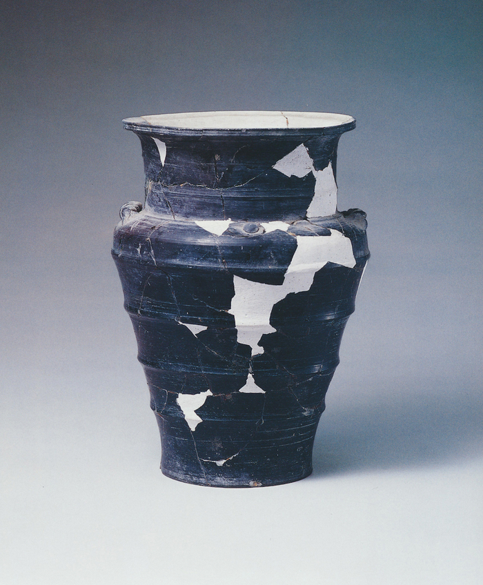 十大考古发现之山东,山东百年百项重要考古发现名录