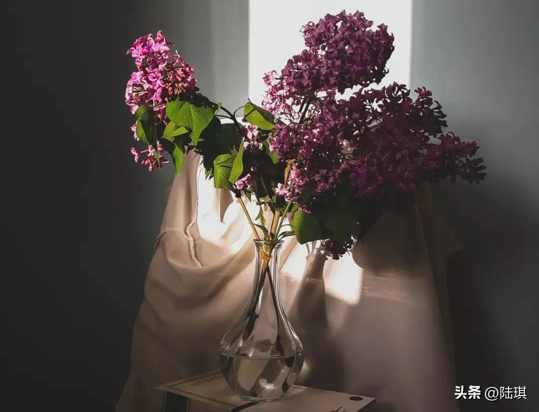 尊重弱小是最大的体面,体面的告别是一种尊重