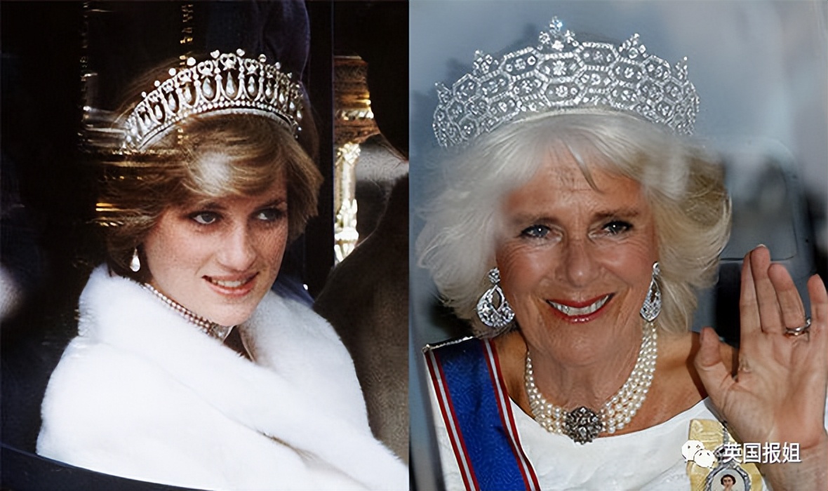 查尔斯另一个结局是什么,查尔斯和戴安娜斗争