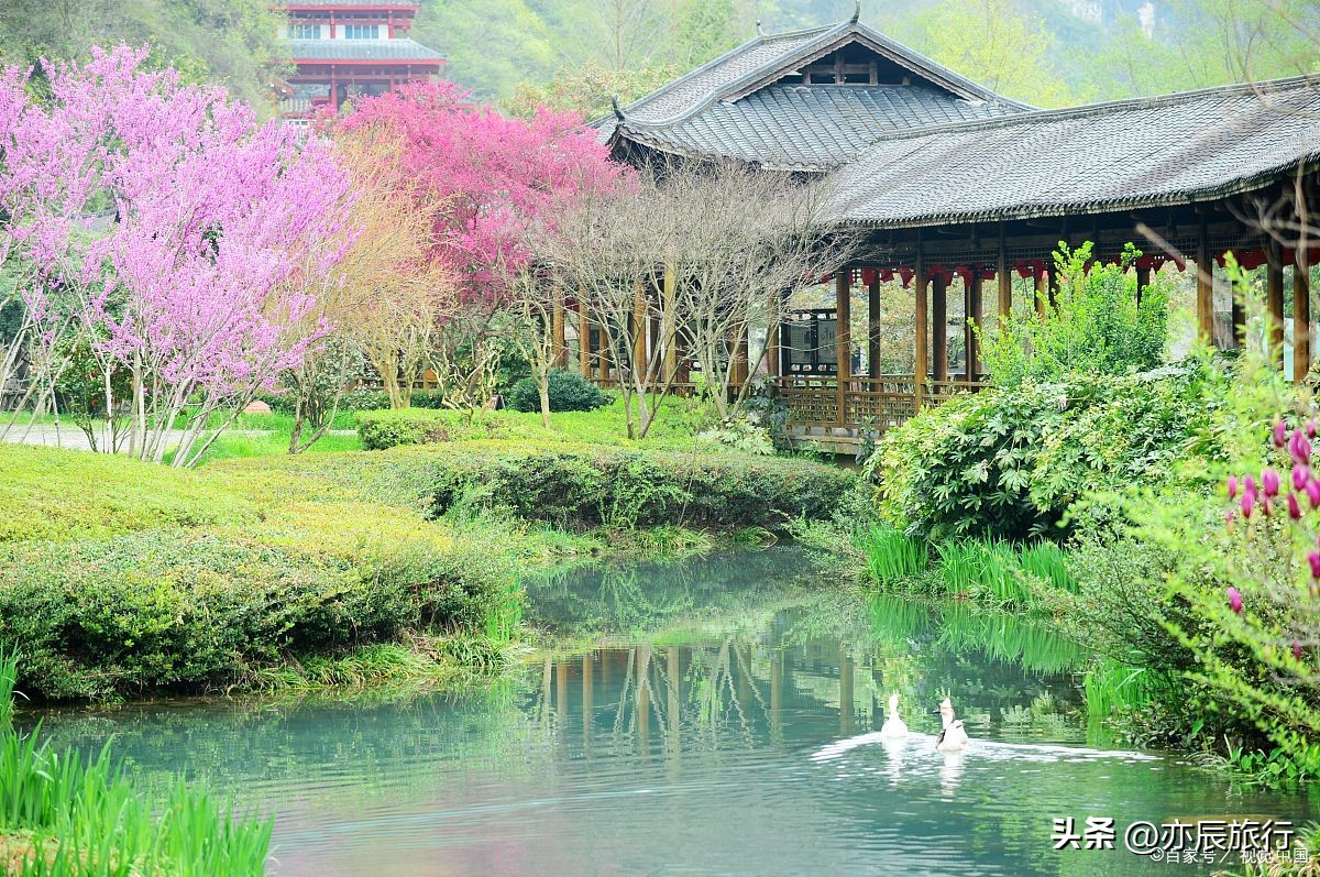 常德避暑胜地乌云界一号部落,常德附近避暑的景点