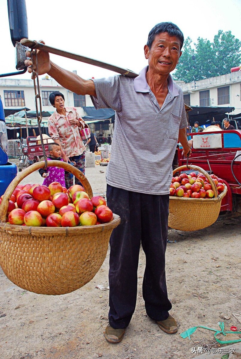 全国各地农村人均可支配收入排行,农村居民人均可支配收入15705元