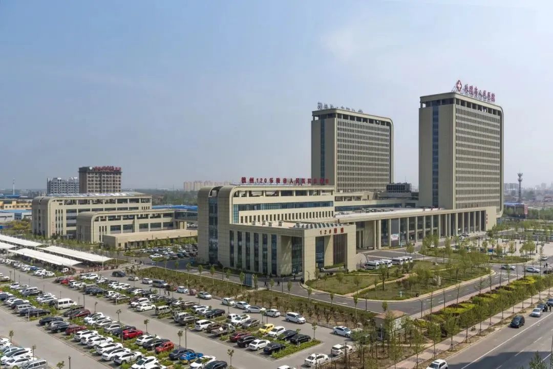 踔厉奋发勇毅前行高质量发展,踔厉奋发勇毅前行建功新时代