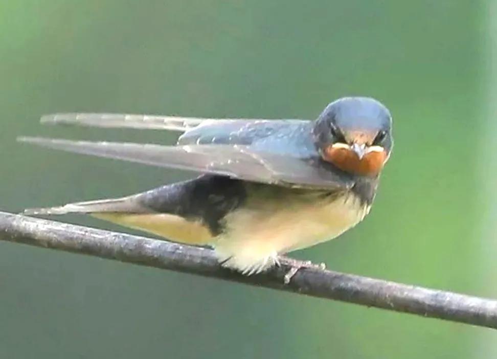 上海国际汽车城安亭,上海市嘉定区安亭国际汽车城