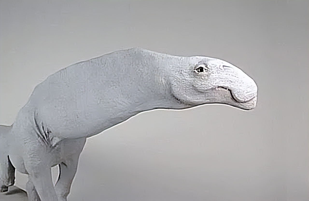 恐龙时代泰坦巨龙与雷龙,泰坦巨龙恐龙化石