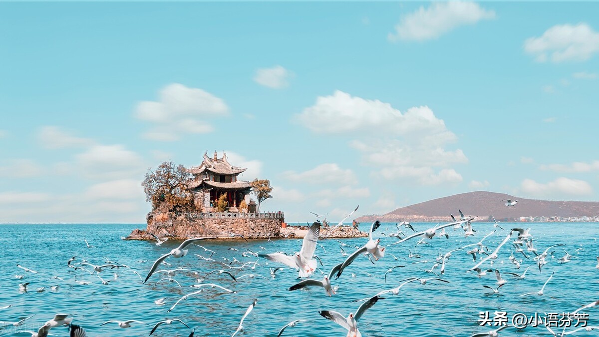 诗经郑风女曰鸡鸣吟唱,诗经郑风女曰鸡鸣吟诵视频