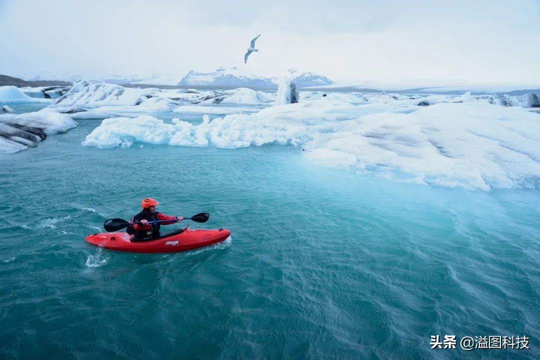 二手尼康d810相机价格,尼康d810哪款性价比最高