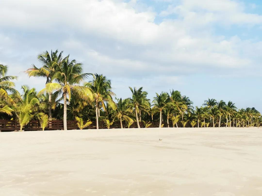 三亚陵水酒店推荐,三亚陵水万豪酒店