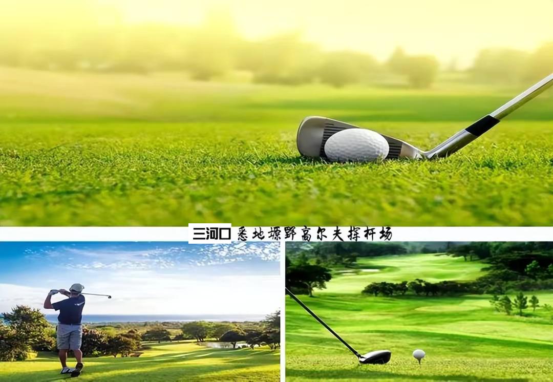 兰永三河口悉地塬野生态农林公园,坐在山头看风景