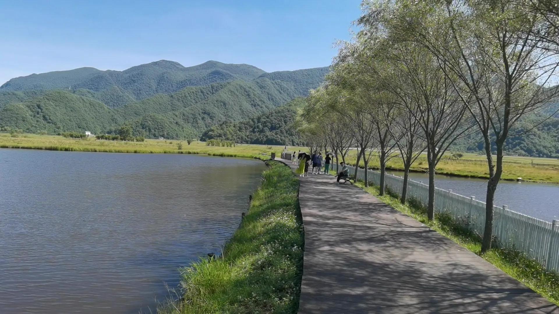 神农顶大九湖一日游价格,神农顶大九湖一日游