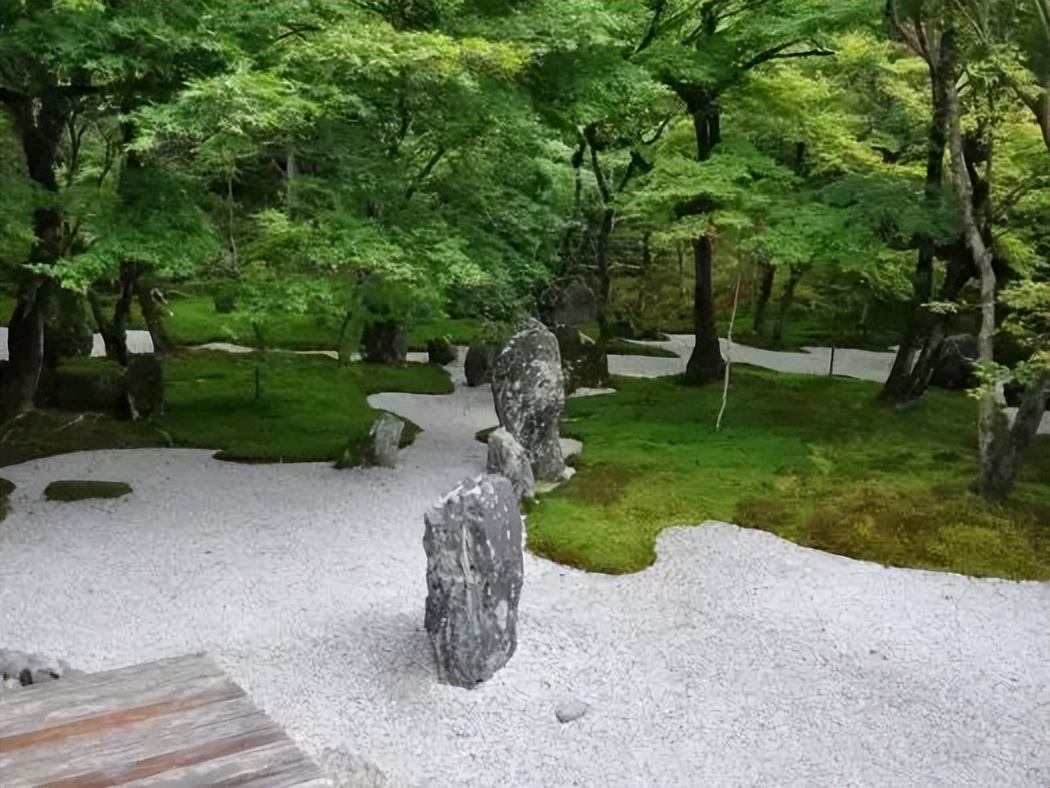 日本枯山水景观,日本枯山水中的树是什么树