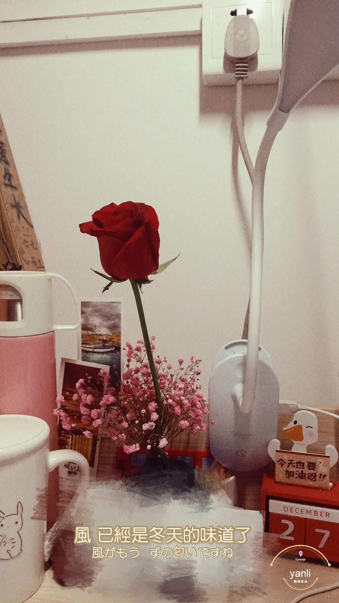 大四的我进退两难...该怎么办