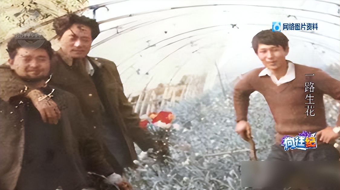 盘点人们都向往的工作,向往的工作和现实的工作