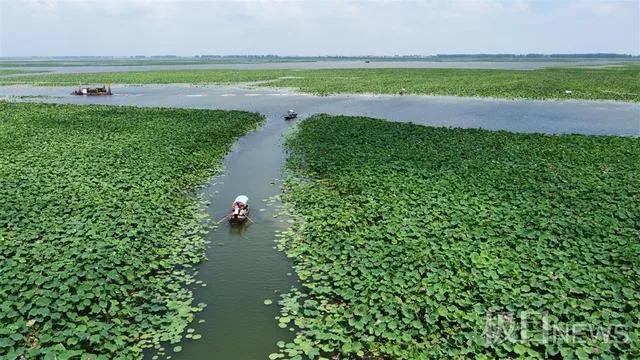 河床地貌类型,汉川市地形地貌图