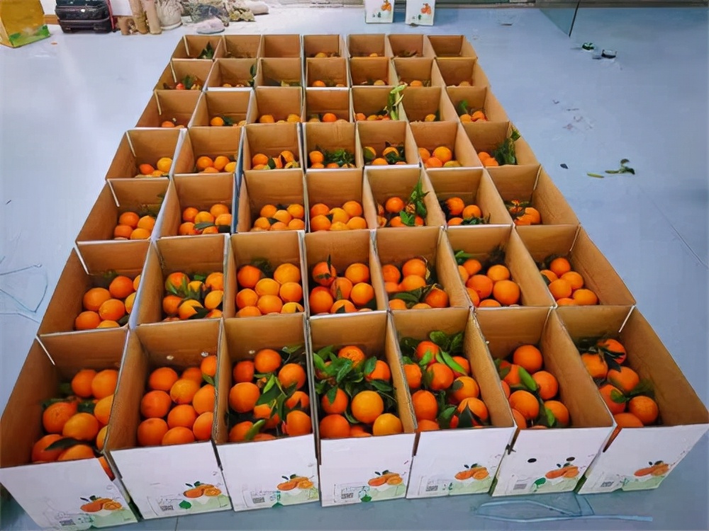 巫山美景秀,重庆巫山恋橙视频