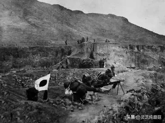 日寇*行暴**:寺头*案惨**