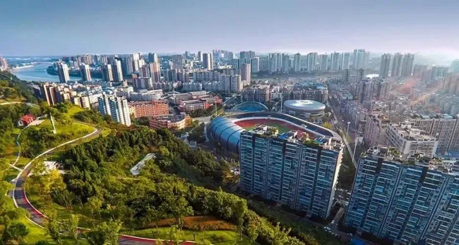 天网恢恢：20亿身家四川富豪死于非命，多年后雷晓伟团伙终被严惩