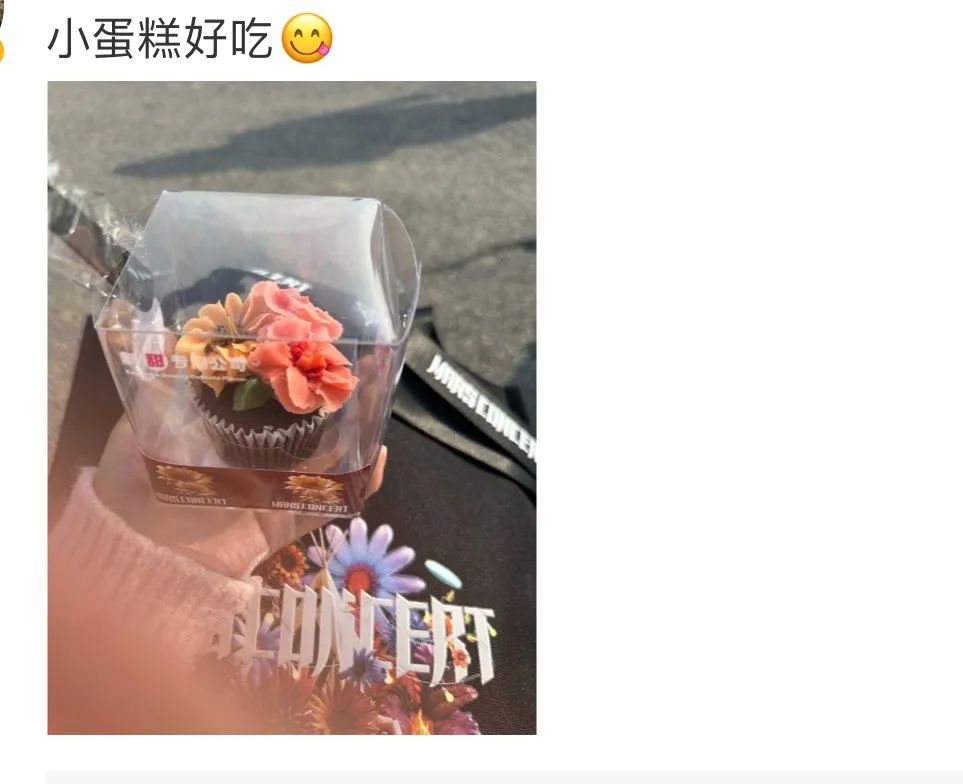 华晨宇2021火星演唱会全程观看,2019华晨宇火星演唱会国王与乞丐