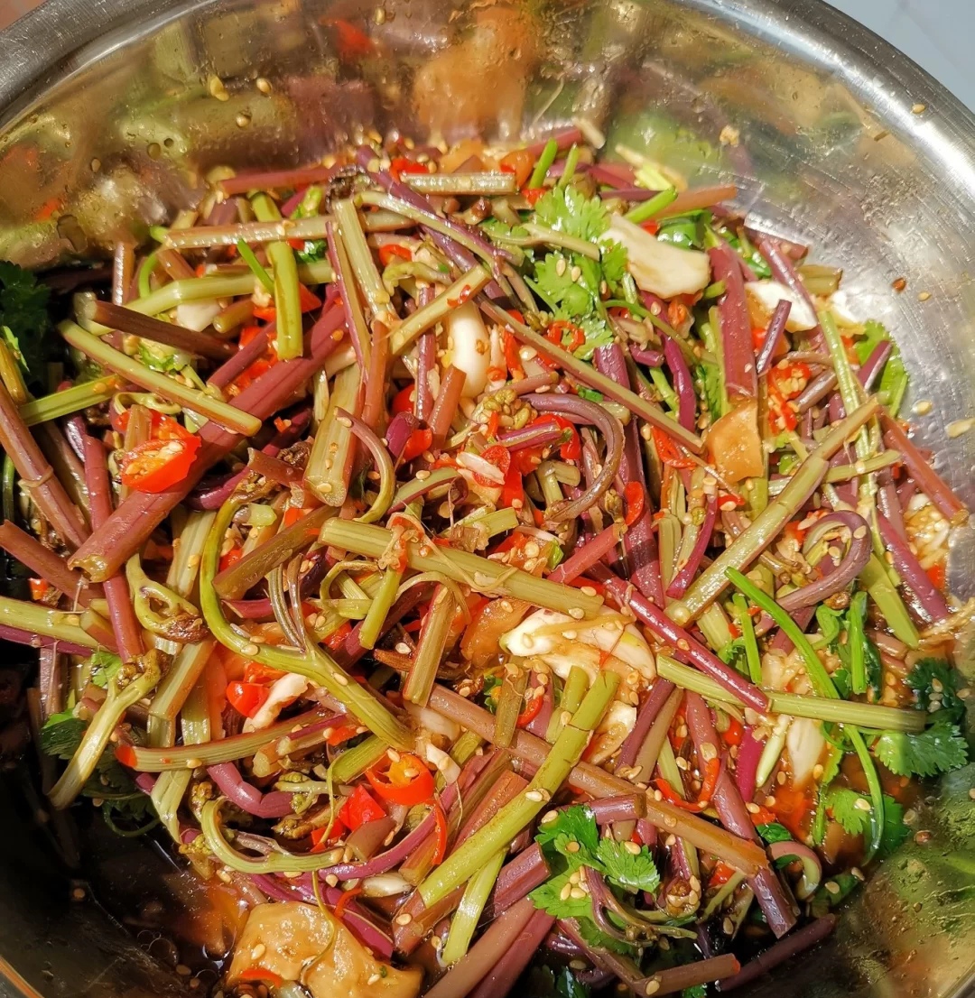 可以吃的野菜大全100种图解,教你认识100种野菜