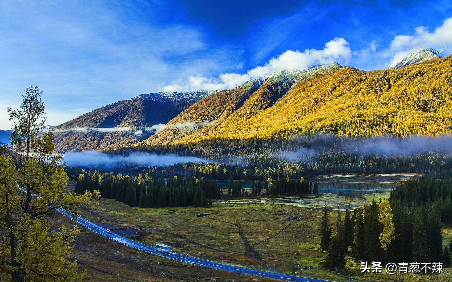 头条上写文章和视频哪个更赚钱,头条写文章和微头条哪个赚钱多