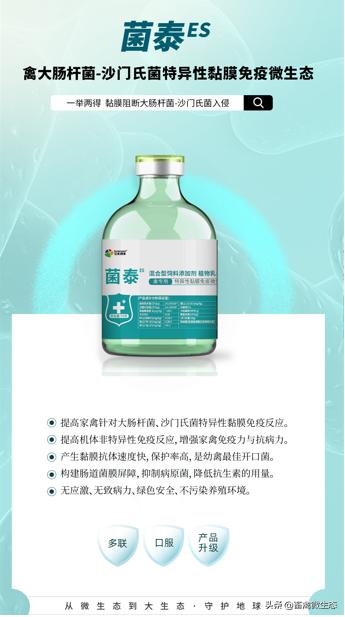 鸡感染严重的大肠杆菌怎么用药,鸡沙门氏大肠杆菌混合感染的症状