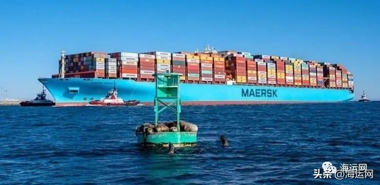 sealand和马士基什么关系,再见维也纳信誉怎么样