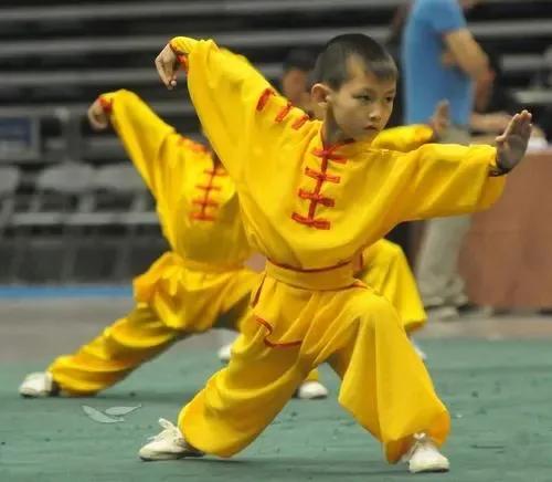 中国武术卡通动图,中国武术素材