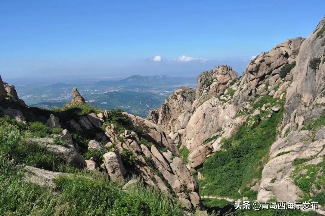 青岛森林野生动物世界等新区四家4*级A**景区免门票！（附假期游玩全攻略）