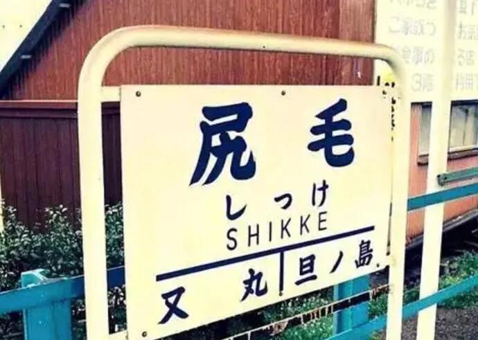 日本人取名字的依据是什么,日本人取名字的意义