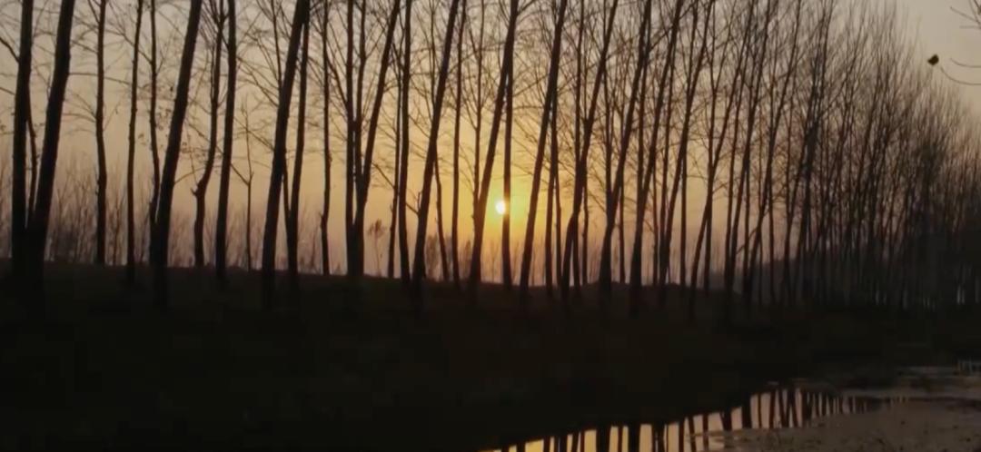 “我红了，她走了”