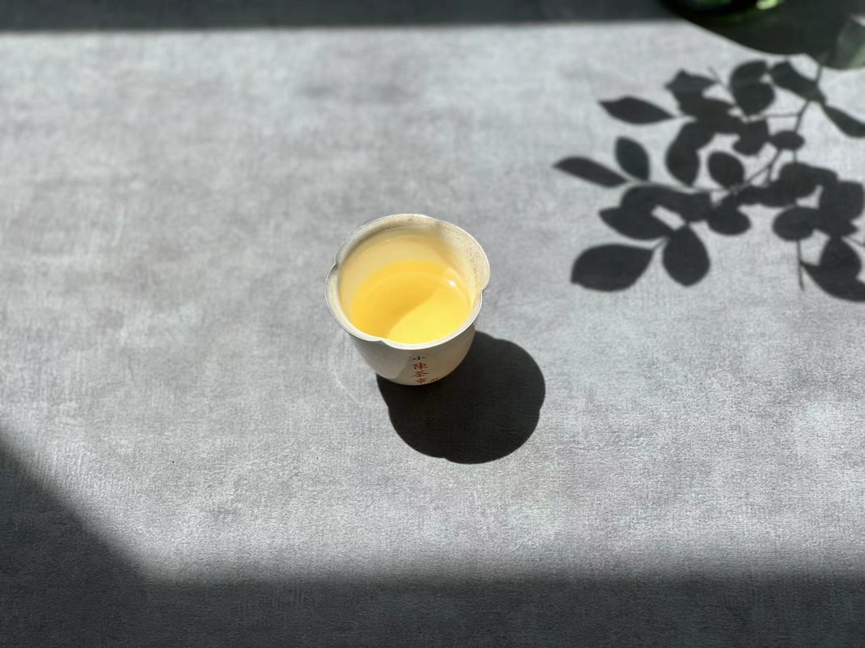 盖碗跟紫砂壶哪种适合泡白茶,白茶用紫砂壶还是盖碗