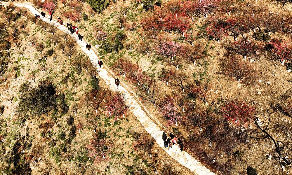 嘿好久不见剧本评测,嘿好久不见歌词