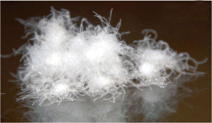 羽绒服便宜和贵的有什么区别 (几百元和几千的羽绒服有什么区别)