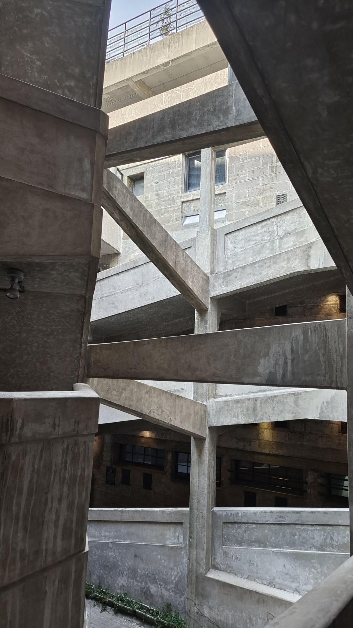 上海研学计划三天两夜,上海研学两日游