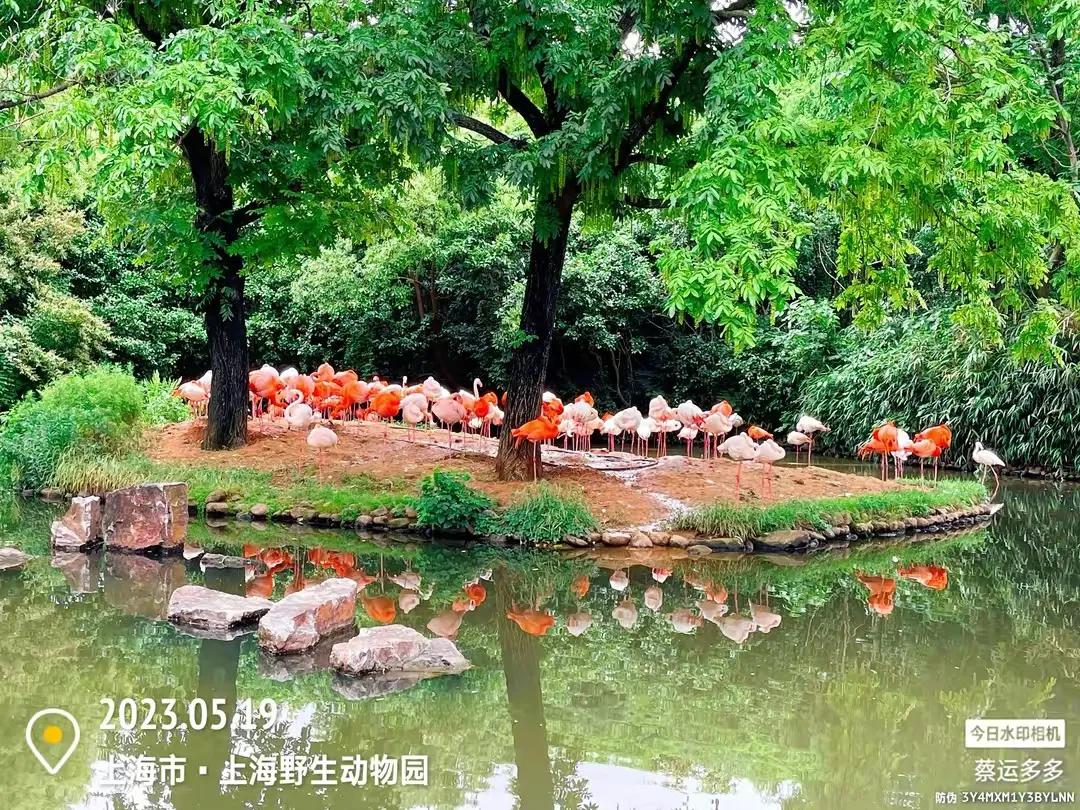 中国最大的野生动物园是哪个城市,中国最大野生动物园