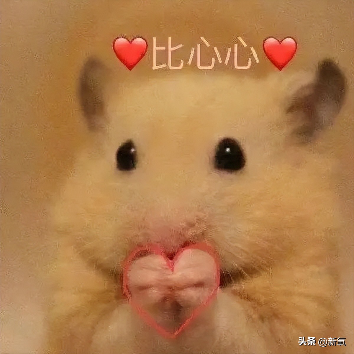 胸上有一颗痣会危险吗,胸上突然长了一颗痣什么征兆