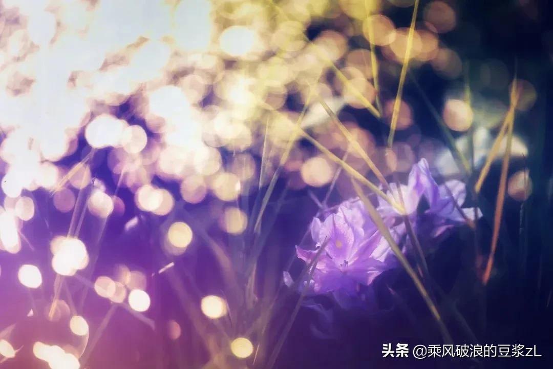 三国演义原文加注释,三国演义文言文带注音