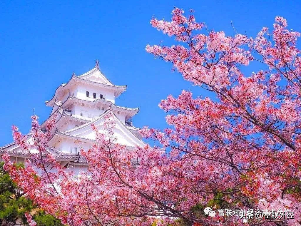 出国劳务日本培训,出国劳务日本多少钱