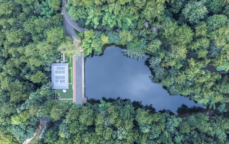 灵感来自大自然的绿色装修设计,最有设计灵感的建筑