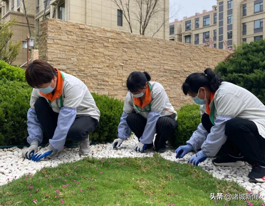 万家花园小区值得买吗,万家花园二手房好不好