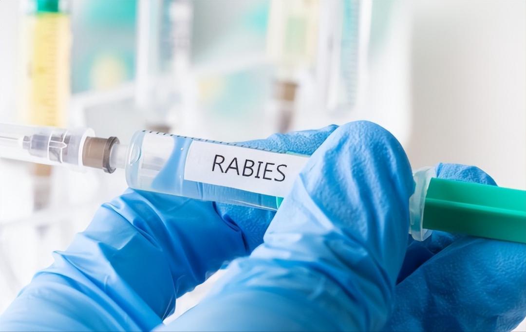 被猫咬出血超过24小时破伤风,有被猫咬了破伤风死亡案例吗