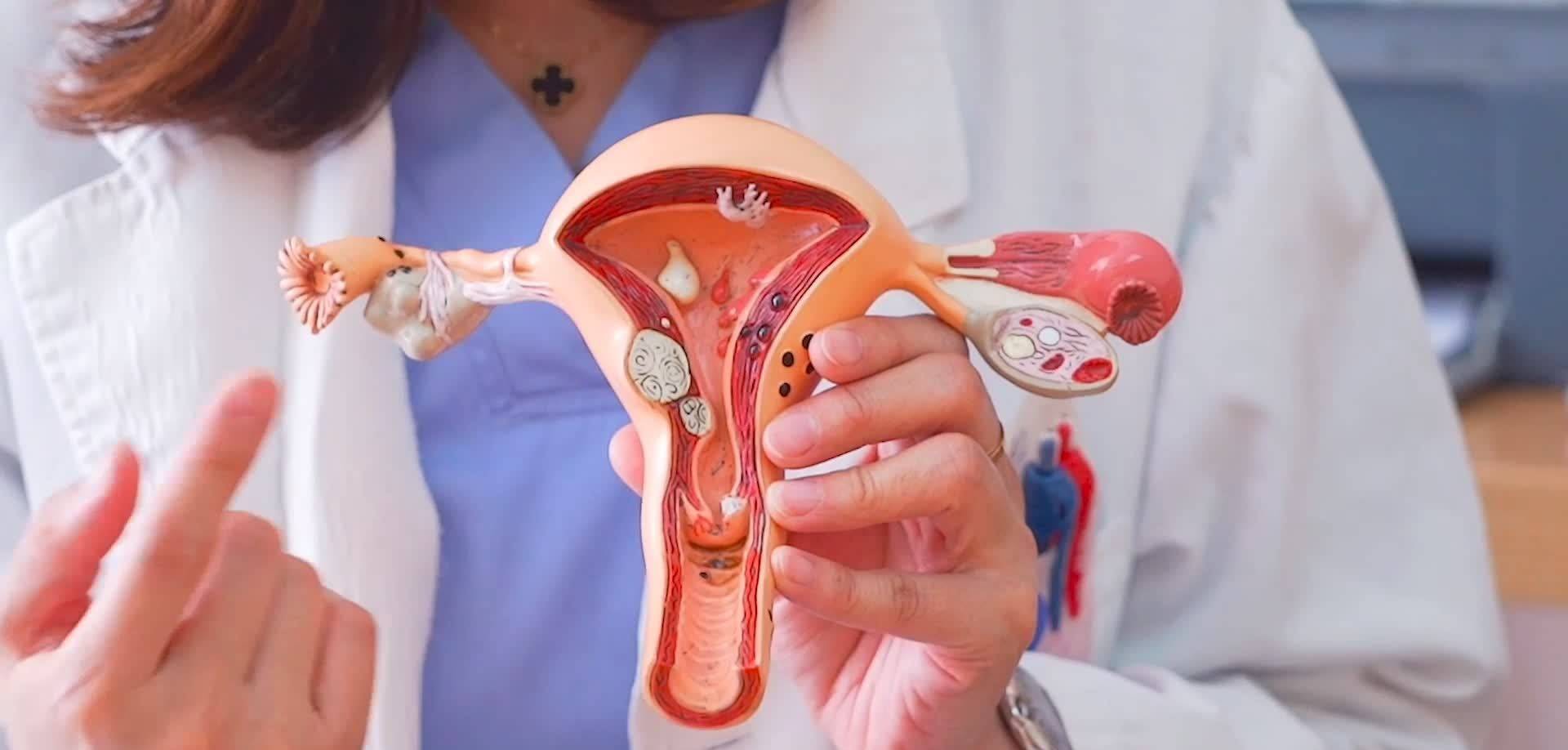 满月之夜，奇迹发生！赵正芹双子宫怀孕引发全球热议