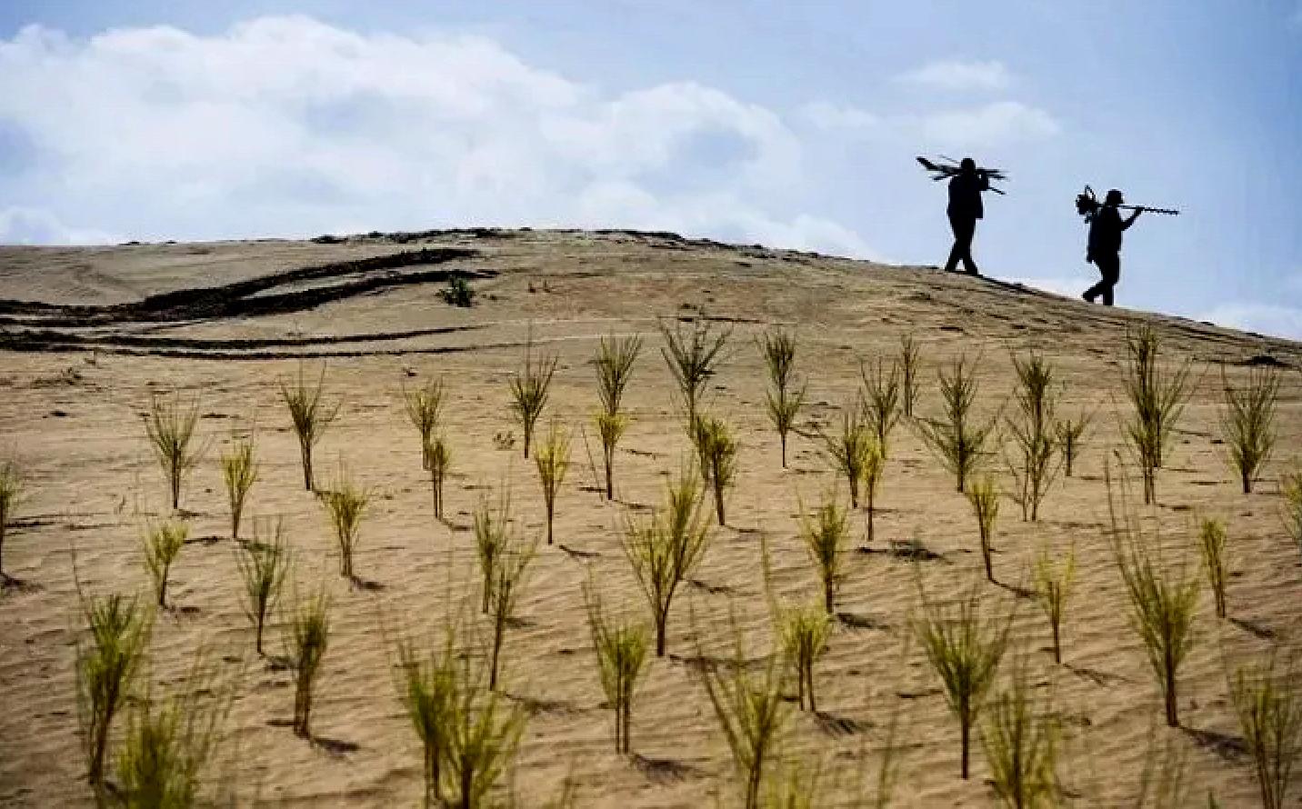 说文解字第1124课,说文解字第381课